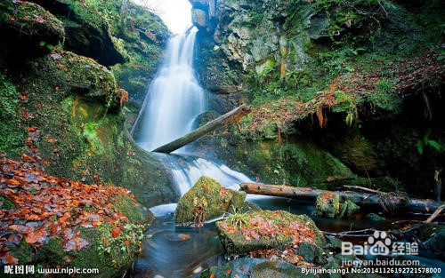 5.1假期旅游攻略