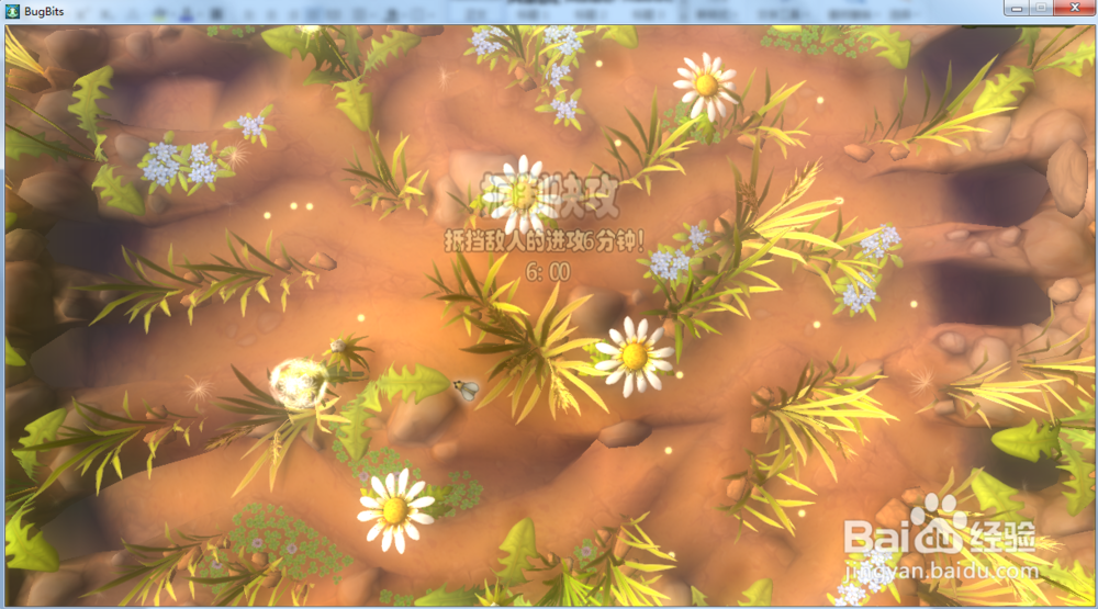 虫虫大作战—扼制快攻攻略