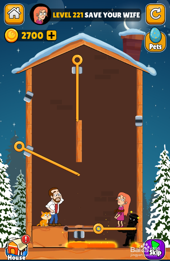 Home Pin的Level 221怎样通关
