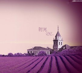 盗墓笔记 那些人 那些事 那些轻狂的青春