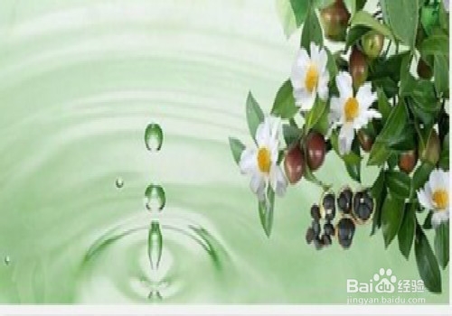 油茶籽油好处多多