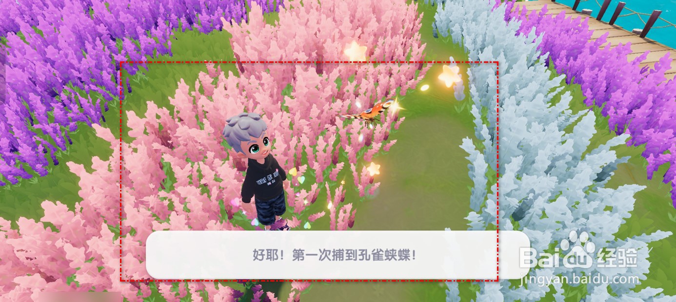 心动小镇孔雀蛱蝶怎么捉