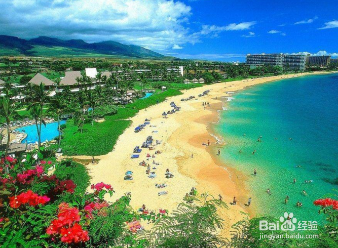 2020年国外游网红打卡地有哪些