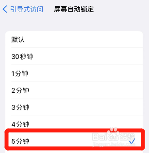 怎么将引导式访问的屏幕自动锁定时间设成5分钟