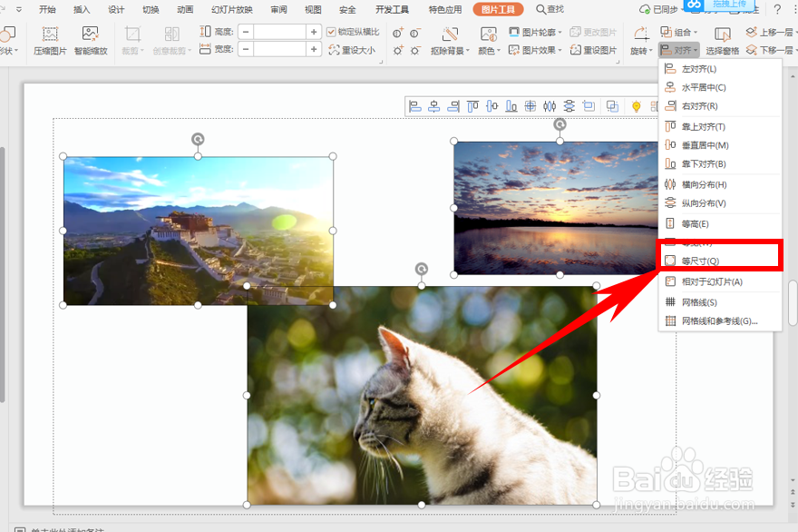 在PPT中插入多张图片怎么快速对齐？