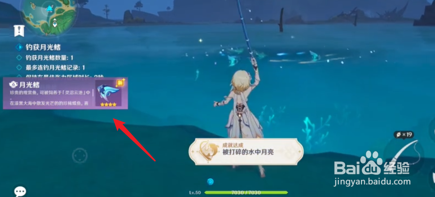 原神月光鳍怎么钓