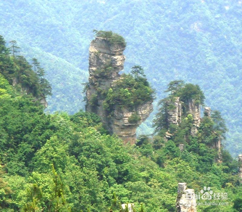 张家界自由行住宿攻略