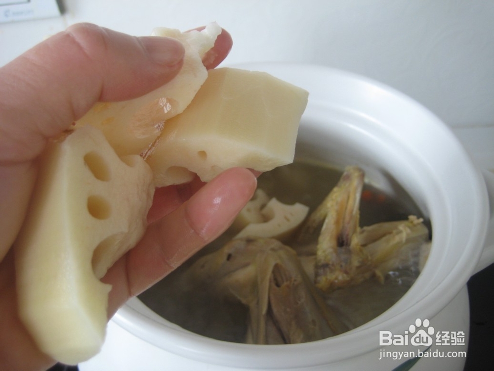 营养滋补的莲藕土鸡汤