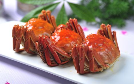 什么螃蟹都能吃吗