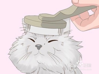 猫眼睛里进毛了怎么办