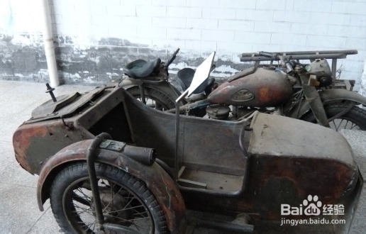 白洋淀一日游 荷花森林中飞翔