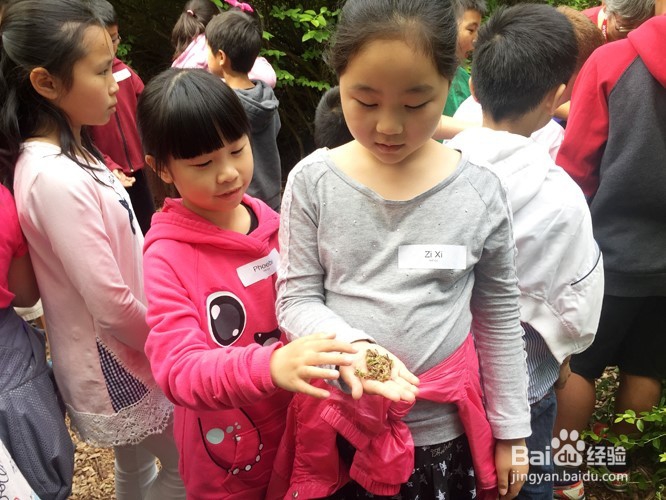 温哥华自然公园学校郊游活动