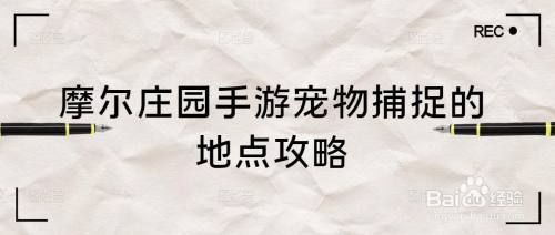 摩尔庄园手游宠物捕捉的地点在哪