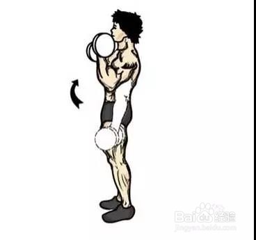 只需一对哑铃,在家锻炼全身肌肉!