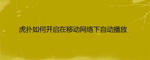 虎扑如何开启在移动网络下自动播放