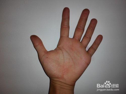 人的手五个指头分别叫什么 那个是正面和反面 百度经验