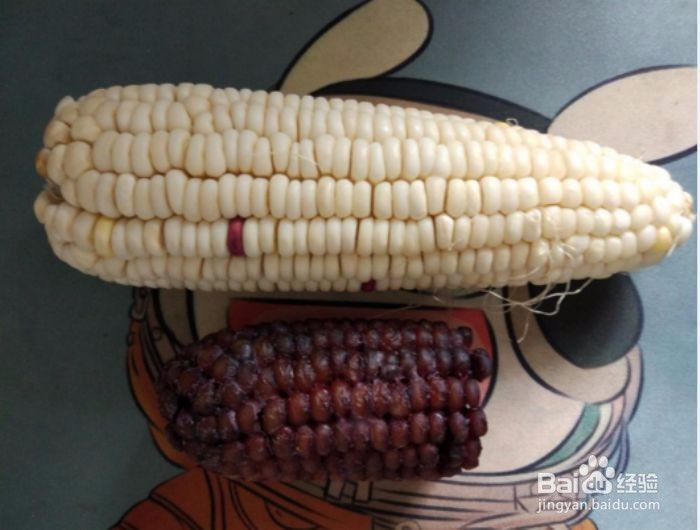 #美食#蒸煮玉米怎么做