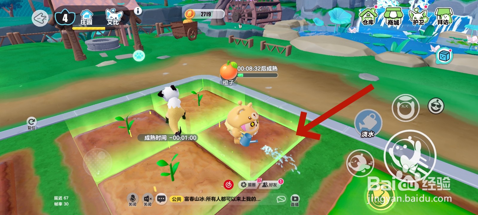 蛋仔派对游戏中给橙子树浇水的教程