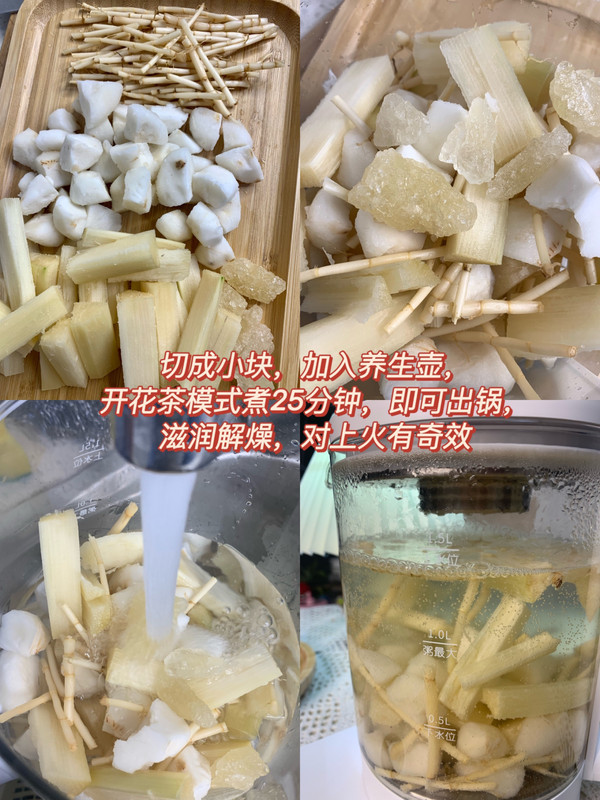 毛根竹蔗马蹄水