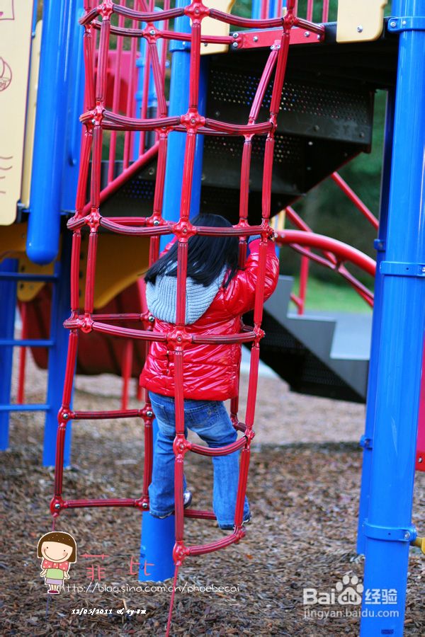 懒人菜蒜蓉烤青口&菲比喂小松鼠