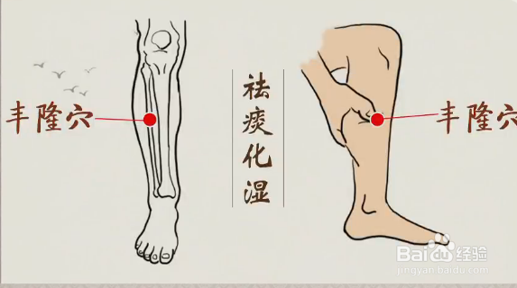 痰湿体质的表现与调养