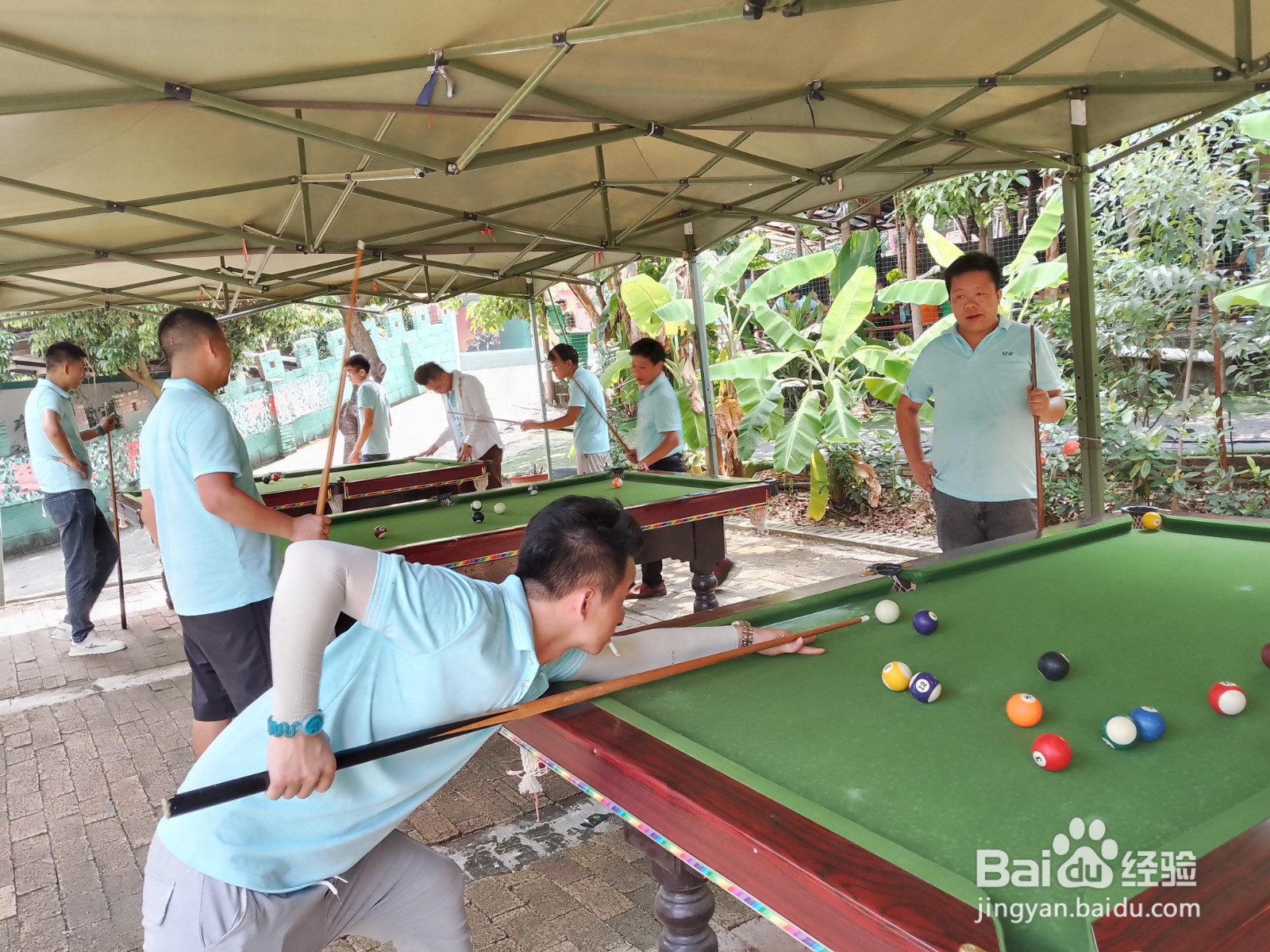 东莞新安周边农家乐一日游
