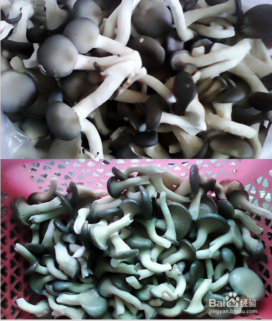 开胃营养骨头汤