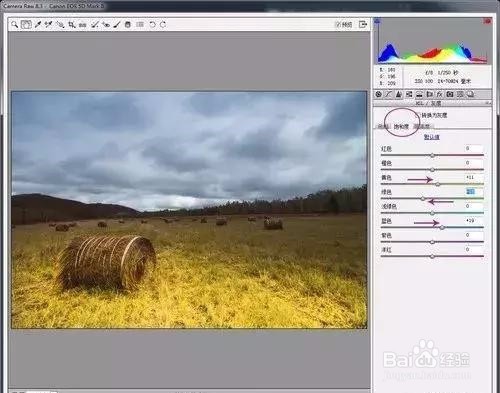 摄影后期处理教程