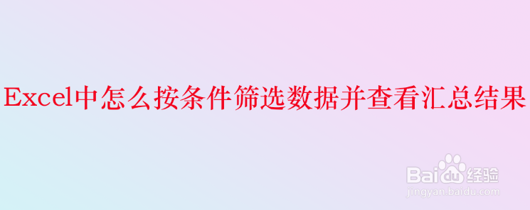 <b>Excel中怎么按条件筛选数据并查看汇总结果</b>