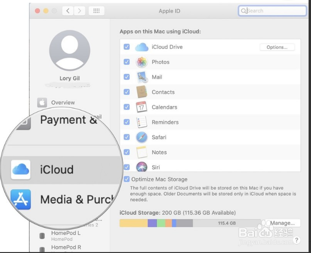 Mac怎么自定义iCloud中存储的应用程序