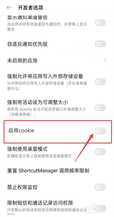 苹果cookie如何去开启