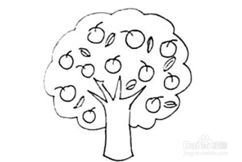 苹果树的画法图片