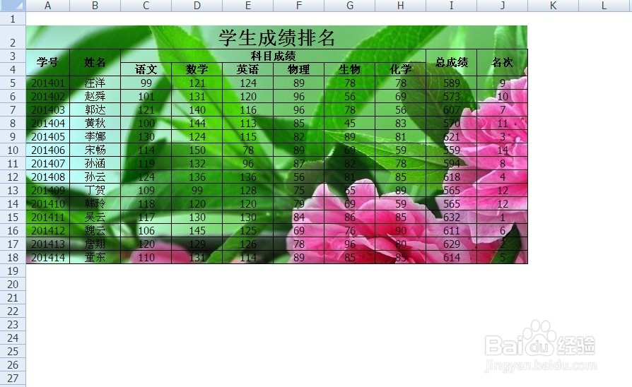 如何在excel单元格中添加背景图片 百度经验
