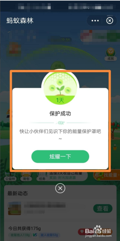 支付宝蚂蚁森林保护罩怎么使用