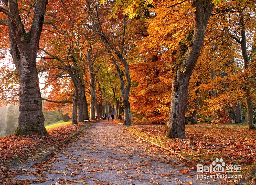 如何去让自己变得更有主见：[1]认识自己