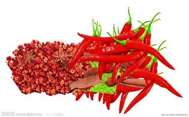 醋溜白菜的做法 分享