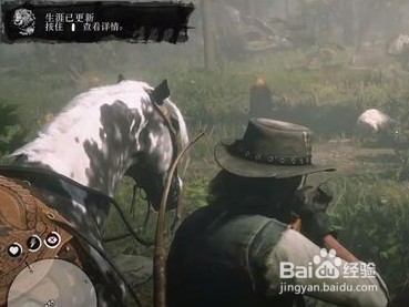 荒野大镖客2哪里河狸多