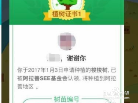 支付宝怎么获得环保证书