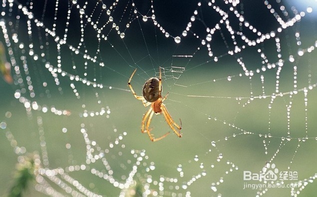 怎样做自己的网站