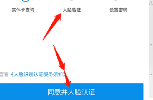 怎么查询农村合作医疗是否缴费