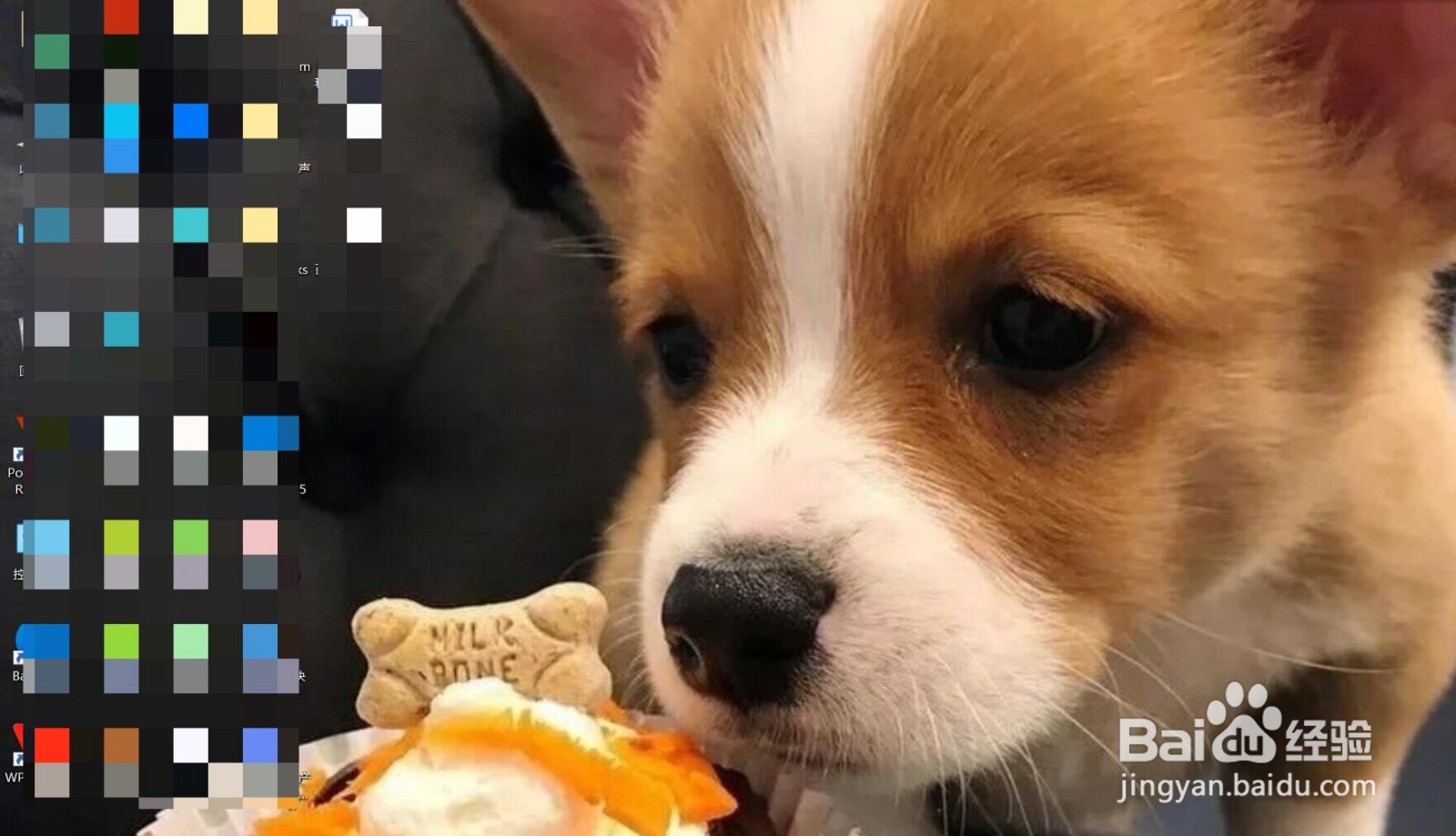 dell电脑怎么开机