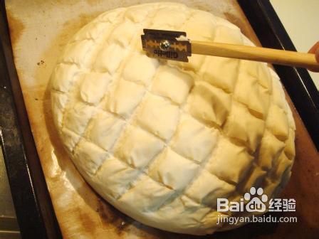 巨无霸龟背面包
