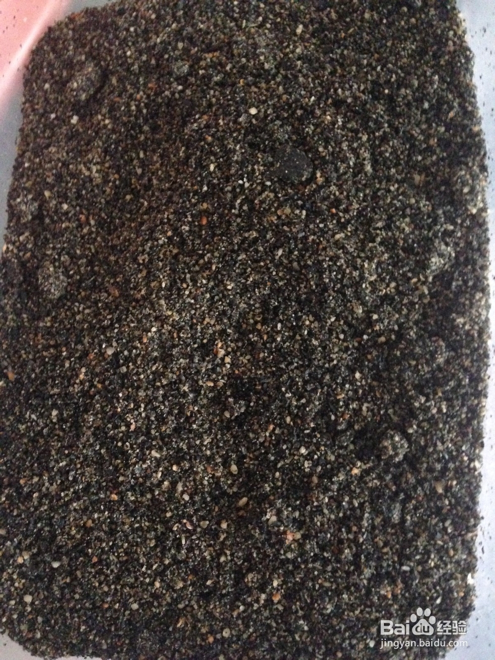 大年初一做包子之芝麻花生包子
