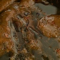 如何制作红烧肉？