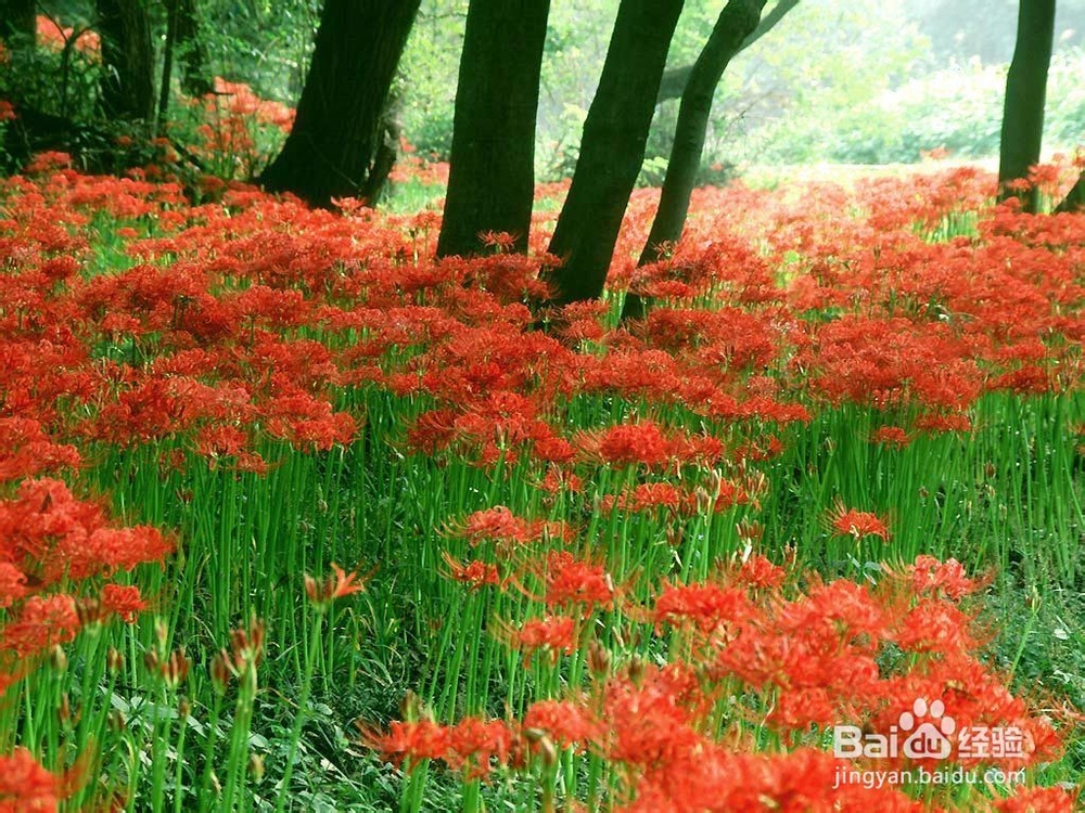 高考前学会调节心态，超水平发挥取得好成绩