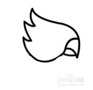 多嘴的鹦鹉简笔画