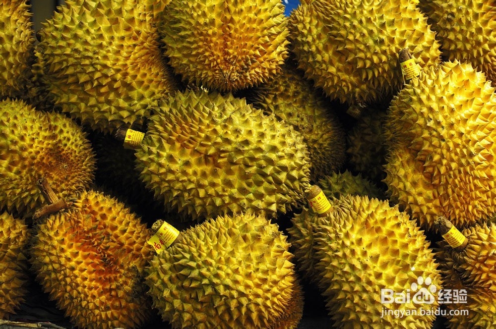吃榴莲的7大禁忌