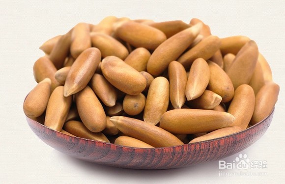 松子的营养和选购技巧