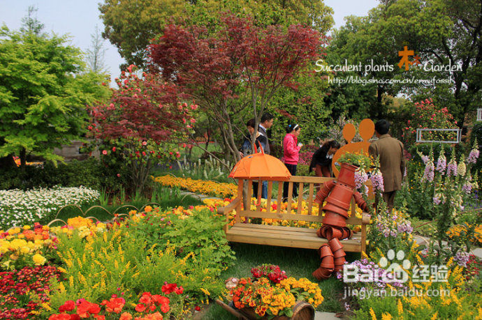 上海植物园（上）