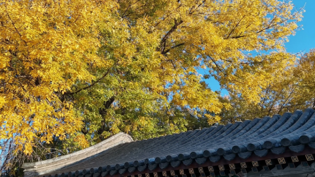 夏去秋来清风至什么意思